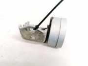 T?rscharnier Hinten Renault Megane, II 2002.11 - 2006.06 Gebraucht,