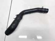 Intercooler Schlauch Volkswagen Polo, IV 2005.04 - 2009.11 facelift 6Q0145762,6Q0145770 BNM