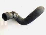 Kühlerschlauch Fiat Bravo, 1995.10 - 2001.10 Gebraucht,