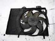Kühlerlüfter Lüftermotor Peugeot 207, 2006.02 - 2009.06 9680102880,