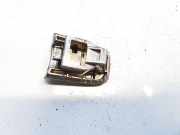 Türgriff Außen Endkappe Nissan Leaf, I 2010 - 2017.12 Gebraucht,