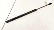 Gasdruckfeder Kofferraum Audi A6, C6 2005.01 - 2008.10 4G9827552B,4G9827552B