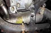 Abgaskühler AGR-Kühler Opel Signum, 2003.05 - 2008.06 Gebraucht,