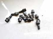 Radbolzen- Radmutter Renault Zoe I 2012 - 2020.06 Gebraucht,