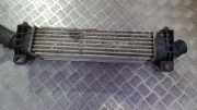 Ladeluftkühler Ford Mondeo, 2000.11 - 2007.03 1s709l440ad, 1s70-9l440-ad 756541j b756542t