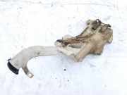 Scheibenwaschbehälter Vorne Wischwasserbehälter Mazda Premacy, 1999.01 - 2005.03 Gebraucht,