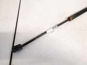 Gasdruckfeder Kofferraum Skoda Octavia, II 2004.02 - 2009.03 Gebraucht,