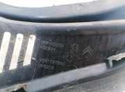 Windlauf Wischerabdeckung Citroen C5, II 2008.02 - 2011.01 9681057880, mp6205