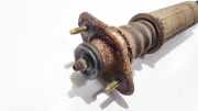 Stoßdämpfer - Hinten Linke Rover 75, 1999.02 - 2005.05 22103651,