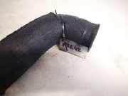 Intercooler Schlauch Lexus IS, II 2005.10 - 2013.03 Gebraucht,