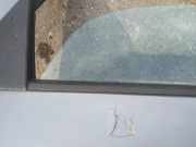 Zierleiste Leiste - Hinten Rechts Suzuki SX4, 2006.06 - 2012.12 Gebraucht,