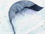 Radhausschale - Hinten Rechts MINI One, 2000.01 - 2006.06 51711486199,