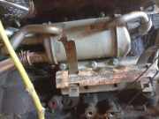 Abgaskühler AGR-Kühler Nissan NV200, M20 2009 --> 147350364r,147350364r
