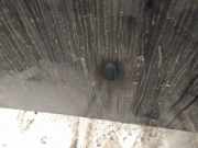 Waschwasserdüse Scheibenreinigung Volvo V40, I 2000.07 - 2004.06 facelift Gebraucht,