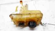 Ausgleichsbeh?lter Peugeot 407, 2004.05 - 2010.12 Gebraucht,