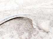 Beplankung Leiste Kotfl?gel - Hinten Linke Ford Ranger, III 2006.06 - 2009.06 Gebraucht,