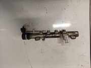 Kraftstoffverteiler Opel Signum, 2003.05 - 2008.06 0445214057,55200251