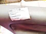 T?rverkleidung - Vorne Linke Renault Scenic, I 1999.09 - 2003.06 facelift 8200067026,