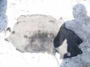 Radhausschale - Vorne Rechts BMW 5-Series, F07F10 F11 2010.03 - 2016.12 Gebraucht,