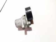 Spannrolle Volkswagen Golf, VII 2012.06 - 2019.06 04e145299l,f56822405 Cjza