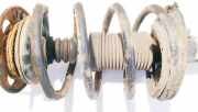 Fahrwerksfeder vorne Rover 75, 1999.02 - 2005.05 Gebraucht,