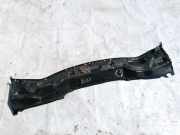 Windlauf Wischerabdeckung Nissan X-Trail, 2001.06 - 2007.06 Gebraucht,