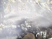 Radhausschale - Hinten Rechts Ford KA, 2008.11 - 2014 51793429,