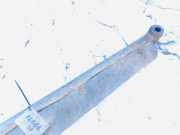 Stabilisator Stabi Hinten Hinterachse Kia Sorento, I 2002.01 - 2009.06 Gebraucht,