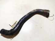 K?hlerschlauch Nissan Almera, N15 1995.07 - 1998.06 Gebraucht,