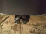 Heckklappe Heckklappenschloss Kofferraumschloss Fiat Bravo, 2006.11 - 2014 Gebraucht,