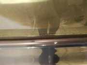 Zierleiste Leiste - Hinten Rechts Toyota Auris, I E15 2006.10 - 2012.10 Gebraucht,