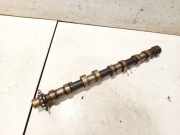 Nockenwelle Land-Rover Freelander, 2006.10 - 2013.12 9685032380,