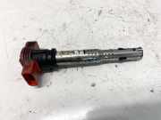 Zündspule Audi Q5, 2008.11 - 2012 06e905115e,