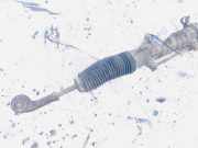 Lenkgetriebe Alfa-Romeo 147, I 2000.11 - 2004.09 LHD,