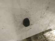 Waschwasserdüse Scheibenreinigung Mitsubishi Outlander, II 2006.01 - 2013.01 Gebraucht,