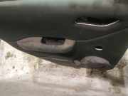 Türverkleidung - Hinten Linke Mercedes-Benz A-CLASS, W169, 2008.09 - 2012.06 facelift Gebraucht,
