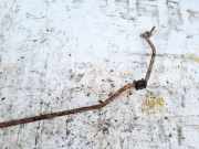 Stabilisator Stabi Hinten Hinterachse Honda Accord, 2005.09 - 2008.05 facelift Gebraucht,