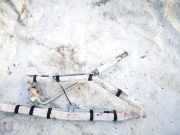 Kopfairbag - Vorne Linke Nissan Cube, Z12 20010.03 --> Gebraucht,