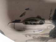 Türgriff Türaussengriff - Hinten Rechts Renault Megane, II 2002.11 - 2006.06 Gebraucht,