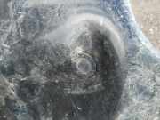 Sensor für Einparkhilfe - HINTEN Toyota RAV-4, III 2005.11 - 2012.12 Gebraucht,