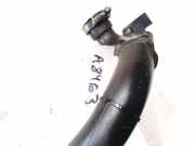 Kühlerschlauch Renault Megane, II 2002.11 - 2006.06 001751,