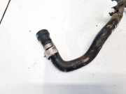 Kühlerschlauch Ford Transit Custom, I 2012.01 --> BK219M445GB,