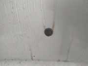 Waschwasserdüse Scheibenreinigung Opel Corsa, B 1993.03 - 2000.09 Gebraucht,