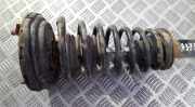Fahrwerksfeder vorne Nissan Primera, P10 1990.06 - 1996.06 Gebraucht,