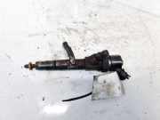 Einspritzdüse Renault Scenic, II 2003.06 - 2006.06 0445110110b, 8200100272