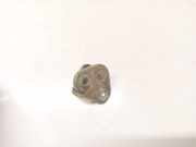 T?rfanghaken Fanghaken Schliessb?gel - Vorne Peugeot 307, 2000.08 - 2005.06 Gebraucht,