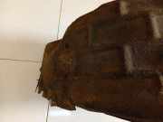 Radhausschale - Hinten Rechts Ford Focus, 2011.04 - 2018 Gebraucht ,