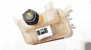 Ausgleichsbehälter Renault Megane, III 2008.11 - 2012.06 217100005r,