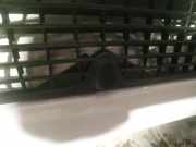 Waschwasserdüse Scheibenreinigung Fiat scudo 2007 - 2016 Gebraucht,