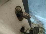 Türfangband Türbremse Türstopper - Vorne Rechts Ford KA, 2008.11 - 2014 Gebraucht,